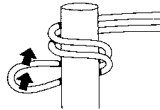 ph2.gif (1157 bytes)